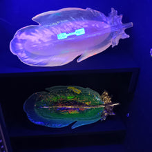 Load image into Gallery viewer, Glow-in-the-Dark Feather Dish with Gold Leaf