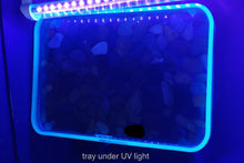 Load image into Gallery viewer, Glow-in-the-Dark River Stone Tray with Stone Shot Glasses