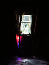 Load image into Gallery viewer, The Feather Thief Booknook with enclosed book