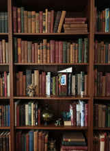 Load image into Gallery viewer, the background of this picture was AI generated, the booknook is the original picture along with some of the books.