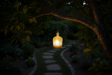 Load image into Gallery viewer, Glow-in-the-Dark Lantern with Lights and Saucer