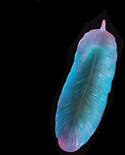 Load image into Gallery viewer, Glow-in-the-Dark Feather dish stick incense holder