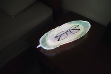 Load image into Gallery viewer, Glow-in-the-Dark Feather dish stick incense holder