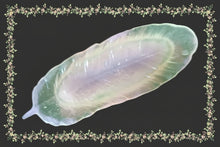 Load image into Gallery viewer, Glow-in-the-Dark Feather dish stick incense holder