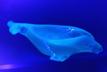 Load image into Gallery viewer, Glow-in-the-Dark Soap Dishes