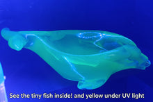 Load image into Gallery viewer, Glow-in-the-Dark Soap Dishes